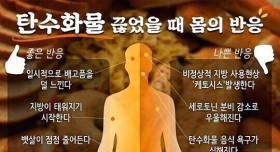 탄수화물을 끊었을 때 몸에 오는 반응