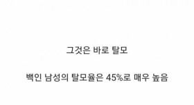 백인 남성 45%가 겪어야 할 미래