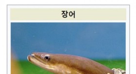 장어가 멸종위기인 이유