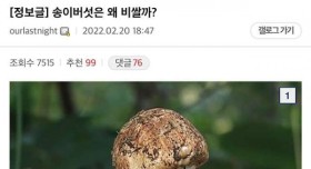 송이버섯이 비싼 이유