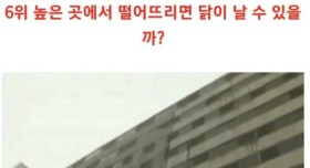 막 나가던 시절 한국예능