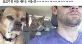 도로주행 해본 사람만 아는짤ㅋㅋㅋㅋㅋㅋㅋㅋ