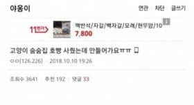 고양이집을 사줬는데 고양이가 안들어가요ㅠㅠ